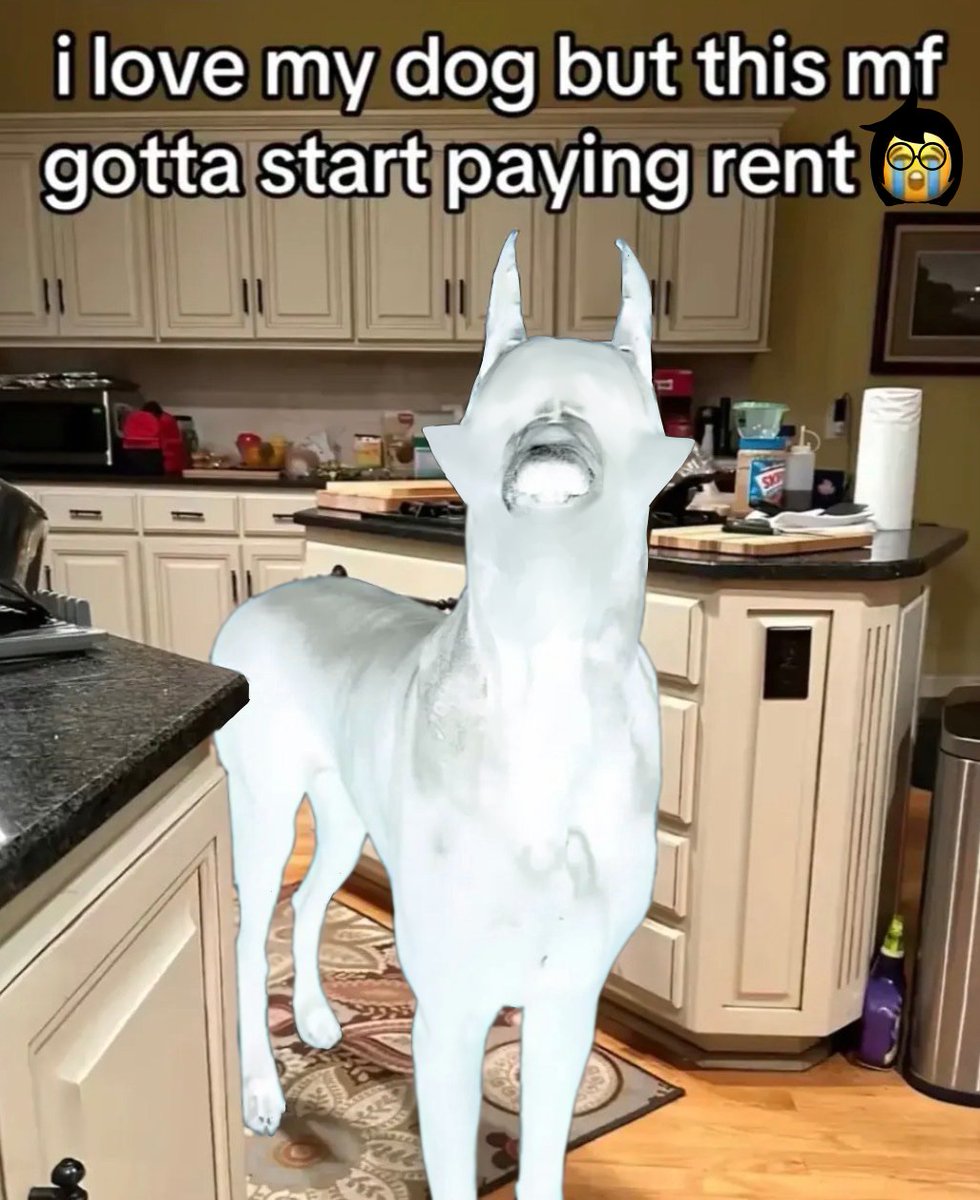 Gui-2005 tweet media