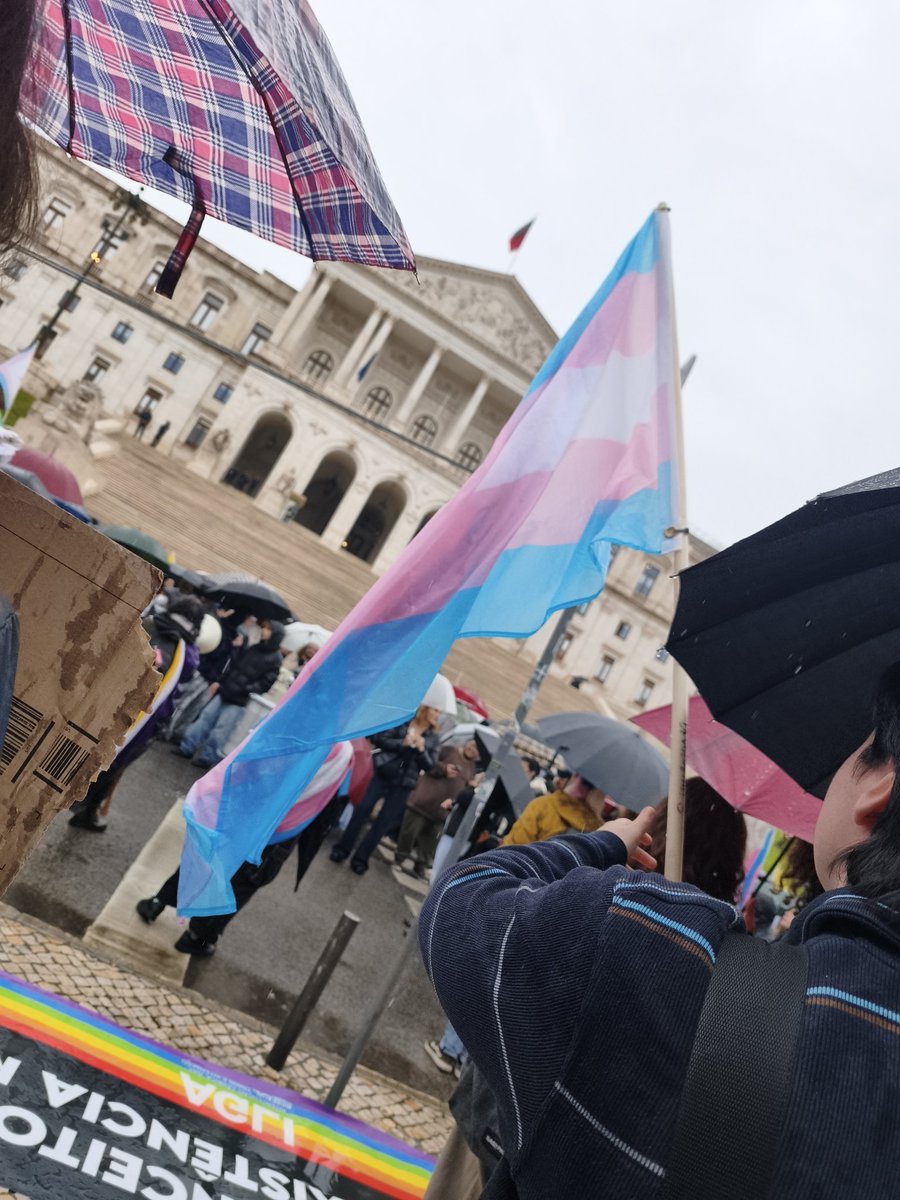 Tiago Teixeira tweet media