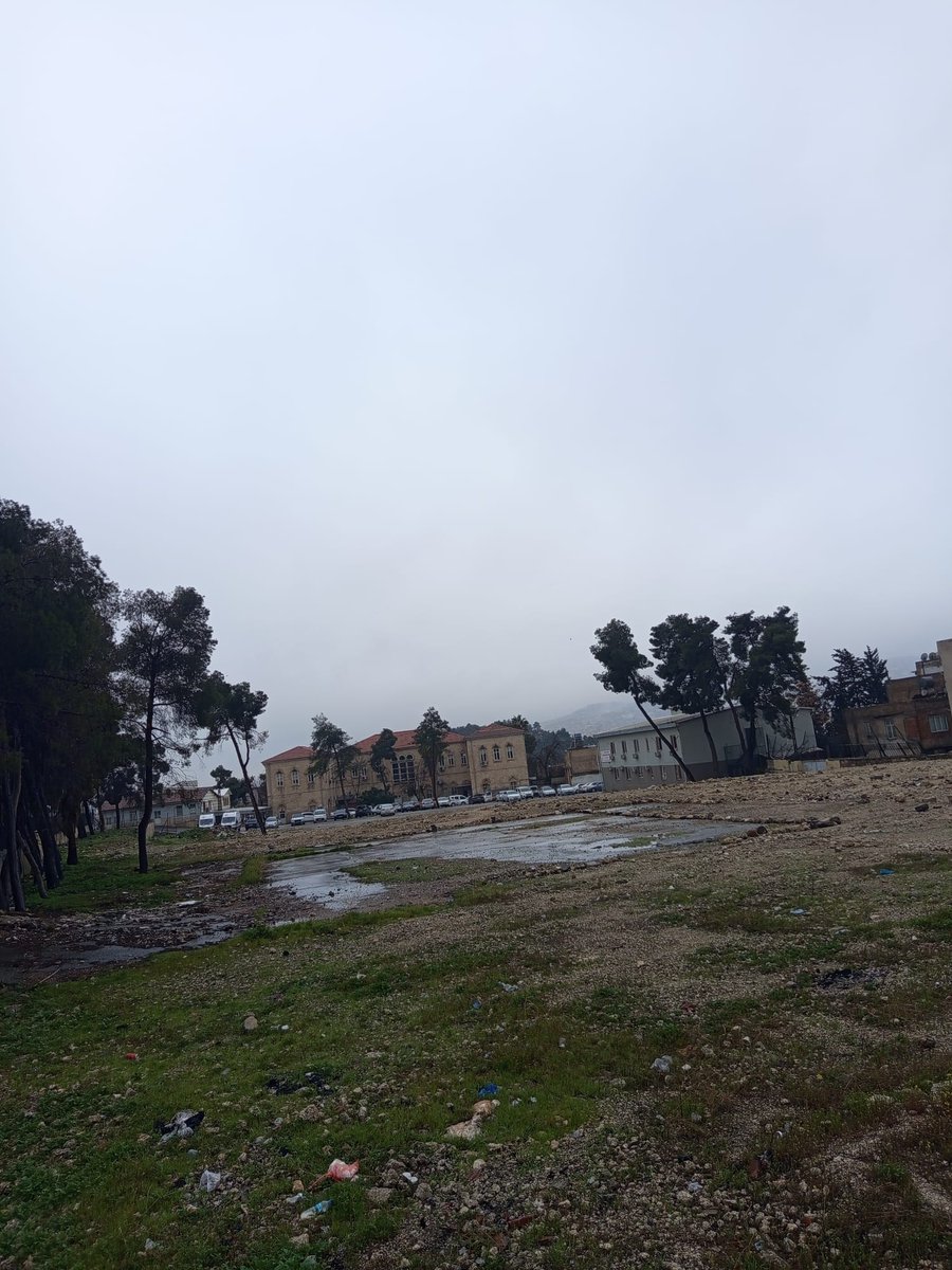 Mutlu Güneş tweet media