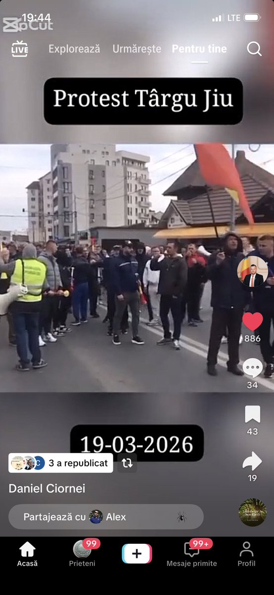 Oana Uluiteanu tweet media