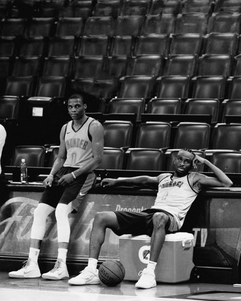 ShaiMuse tweet media