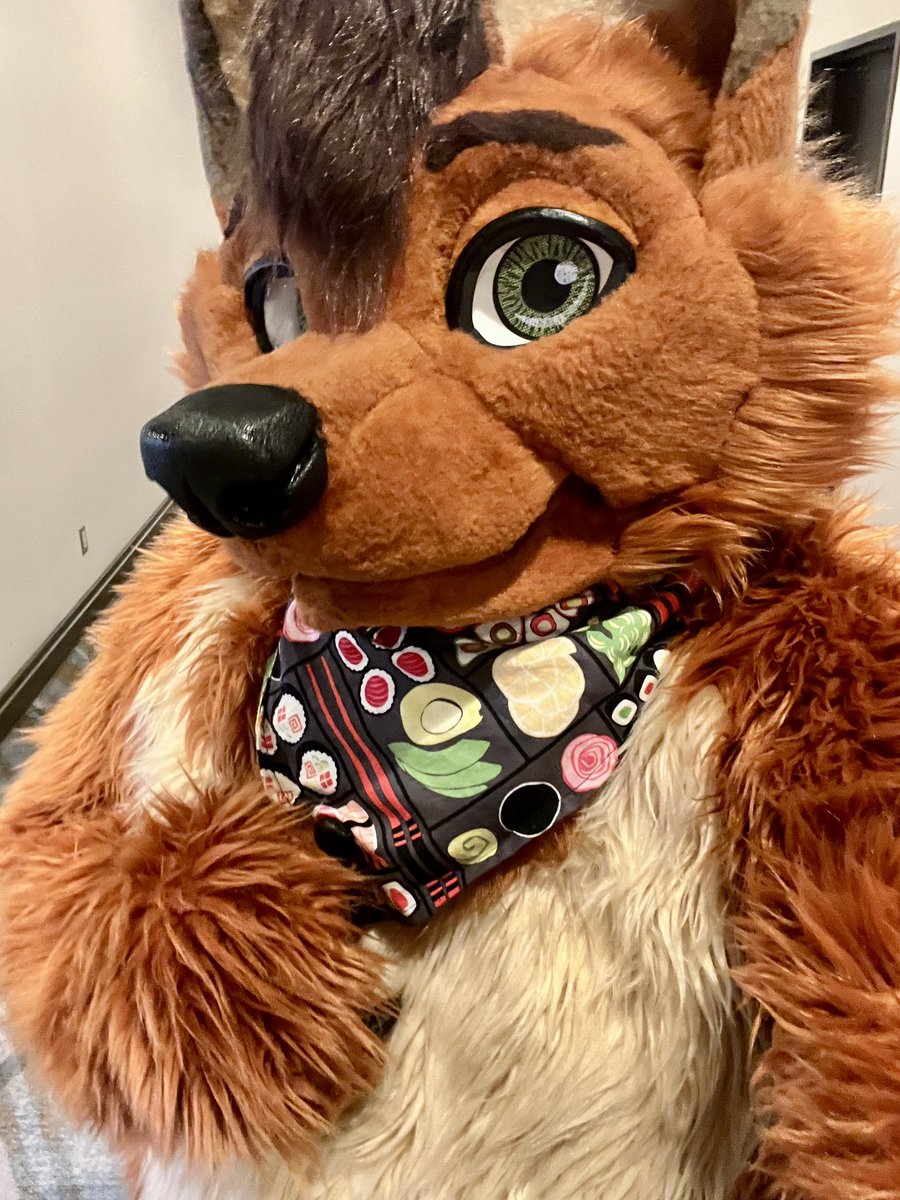 Fox Dublith VA tweet media