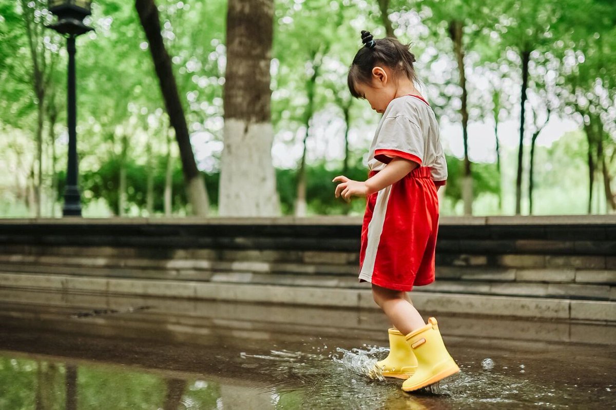 Lynn Torralba tweet media