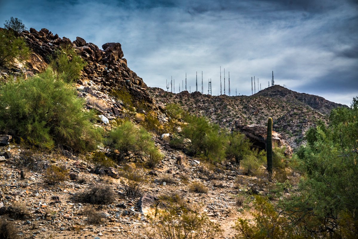Councilwoman Ann O’Brien tweet media