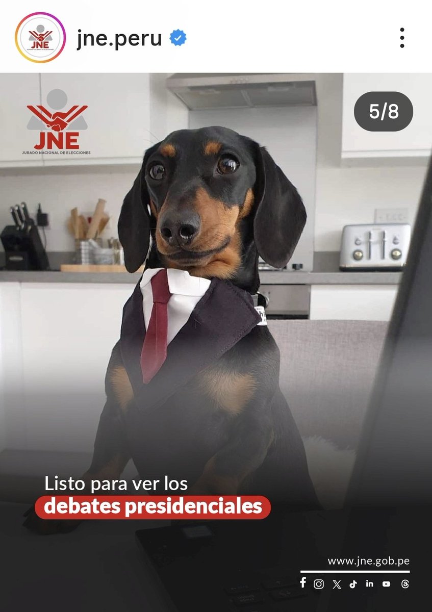 Ysmael Tasayco M. tweet media