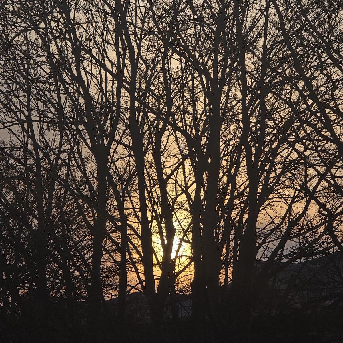 newspectres tweet media