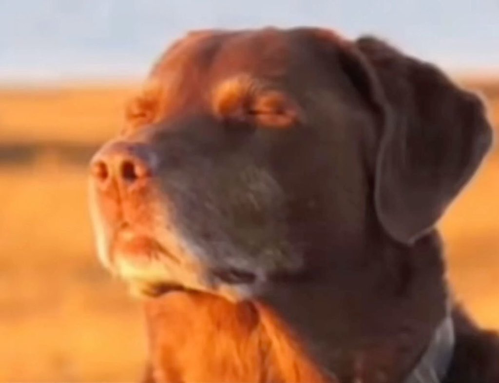 jai 🇵🇸🇲🇽 tweet media