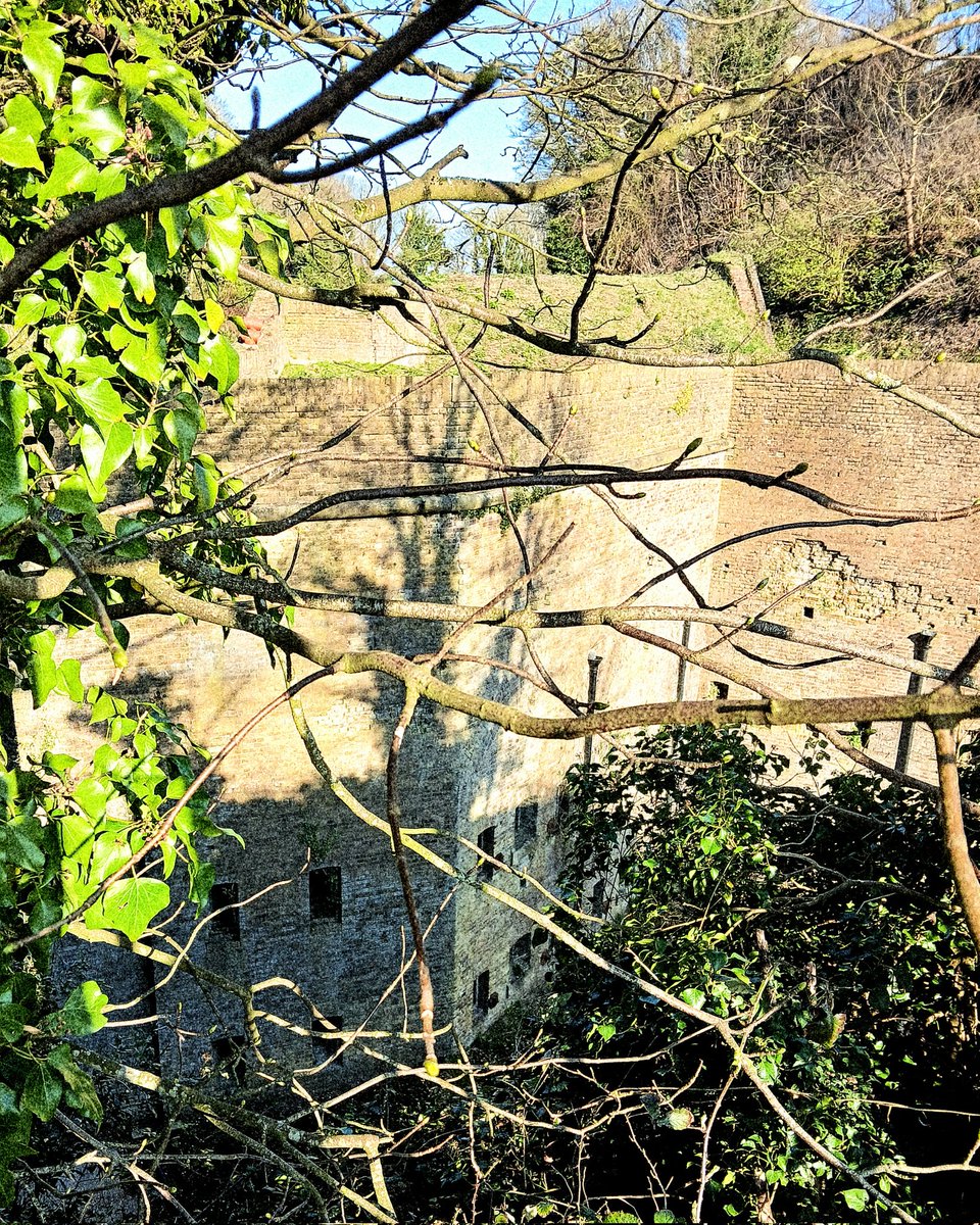 luna 💾 tweet media