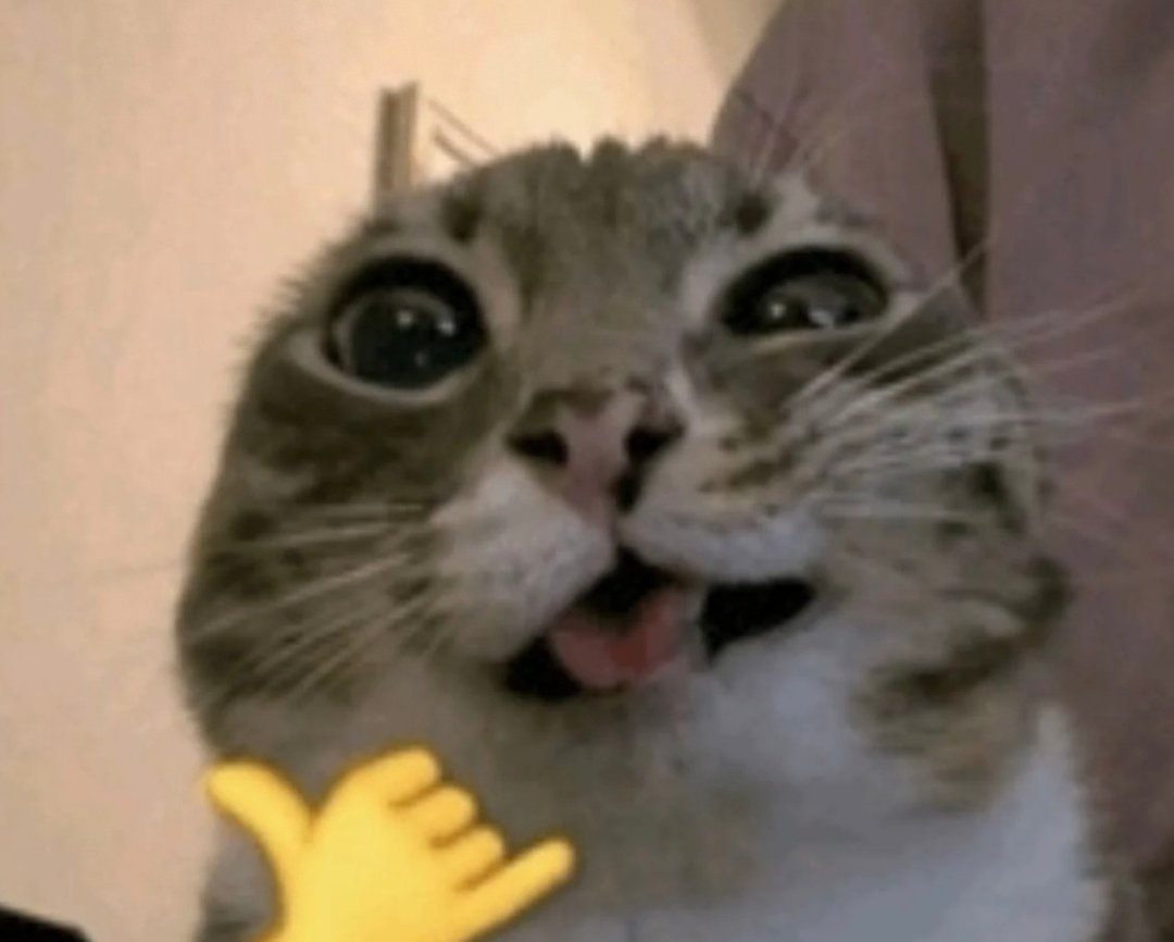 Akifσ🇦🇷 tweet media