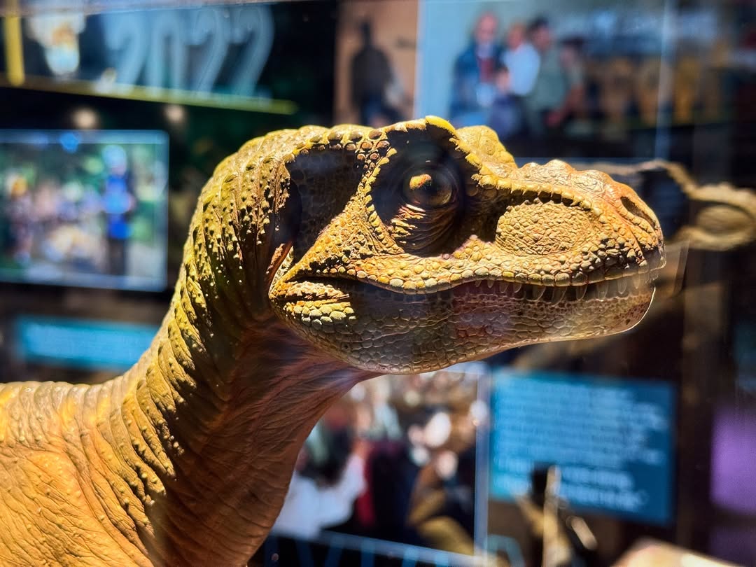 Alex Evans tweet media