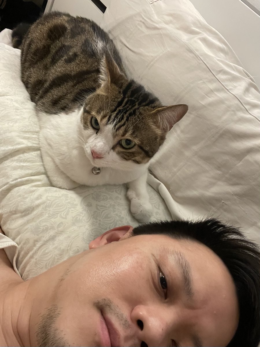 WR X Nana Hachi Hana tweet media