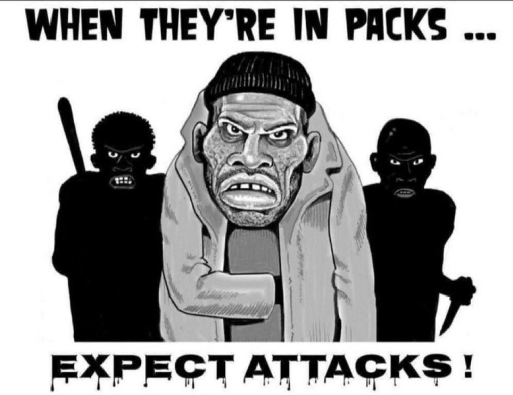 Michael Provost 🇨🇦🇺🇸 tweet media