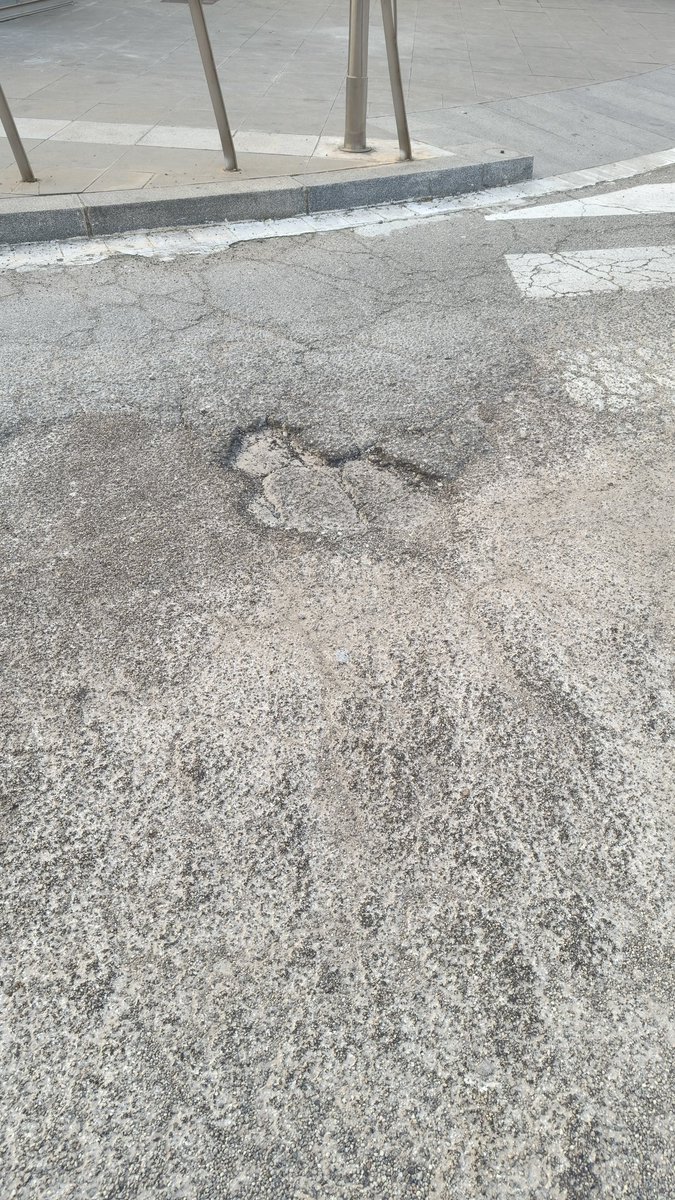 Núria Masdéu tweet media