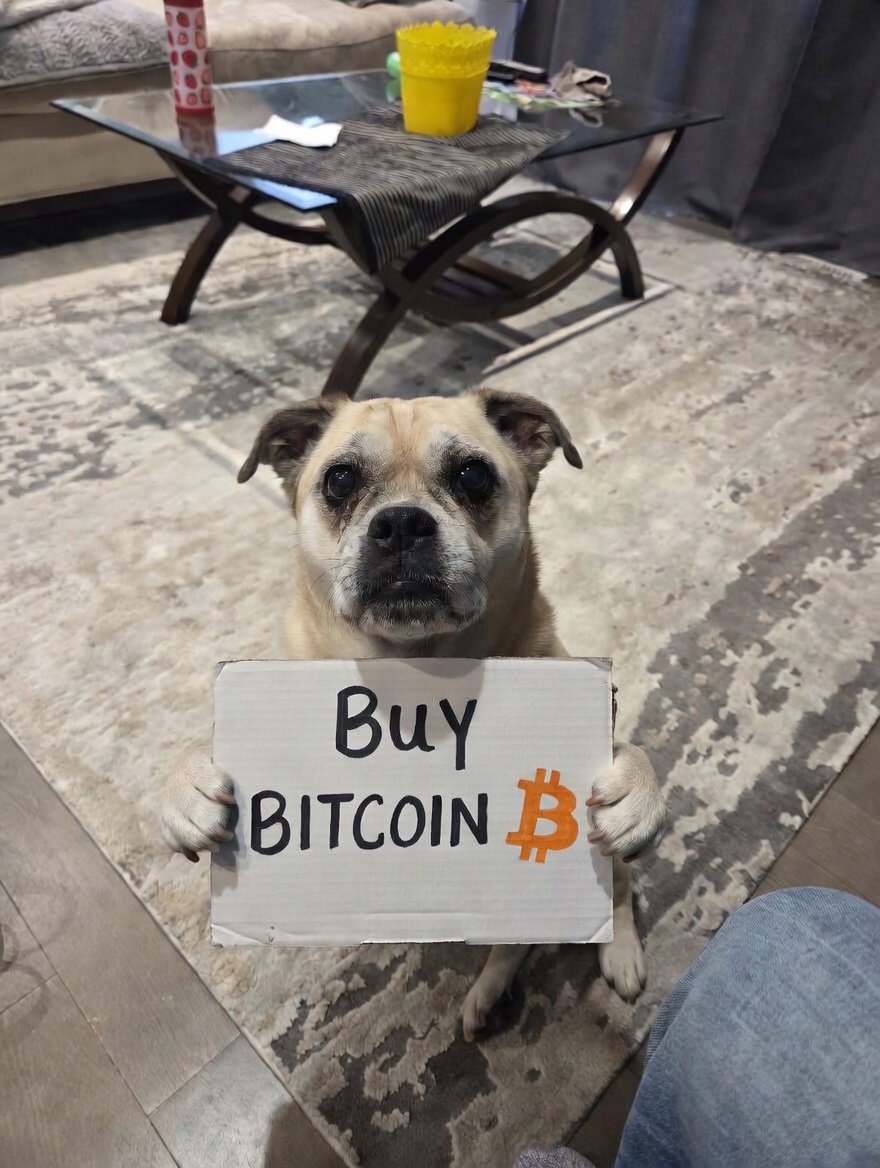 TheModernCdn 🔺️ 🔧🦈📈 tweet media