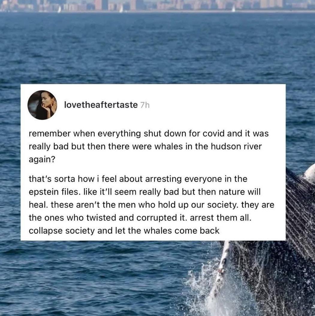 James Tate tweet media