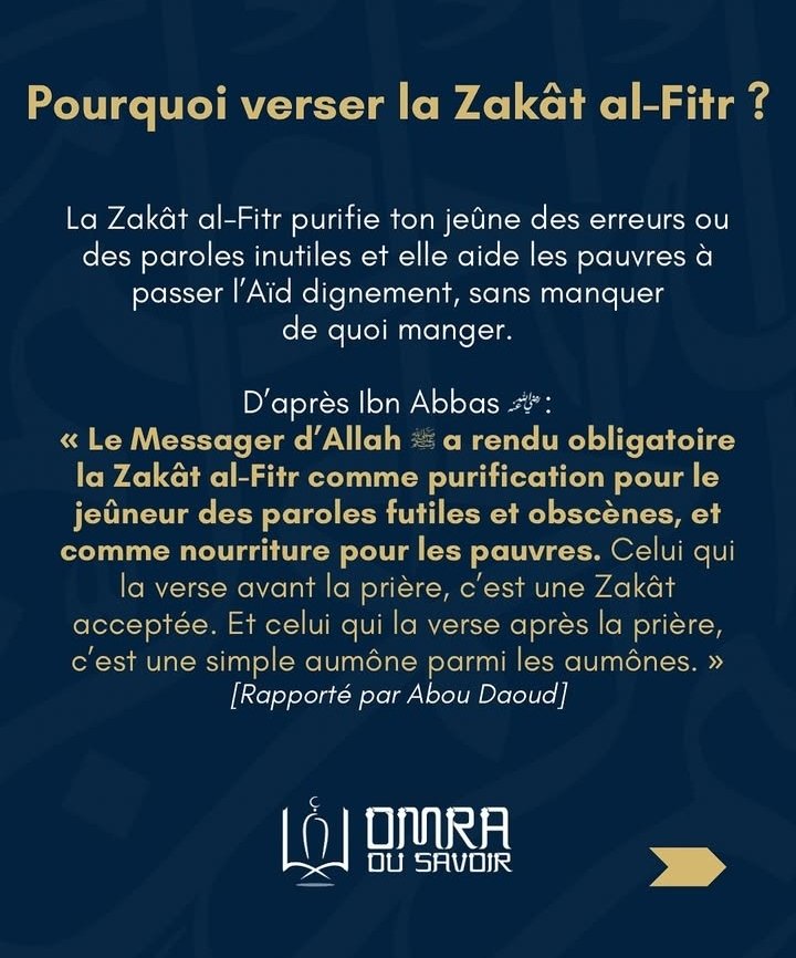 ☢️ Lethal BJJ 🥋 tweet media