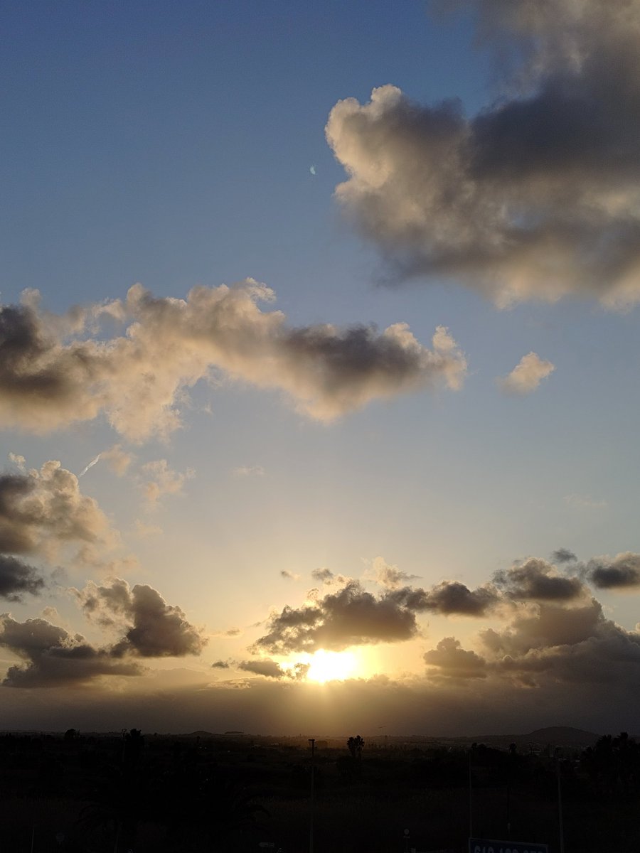 Sinopsis tweet media