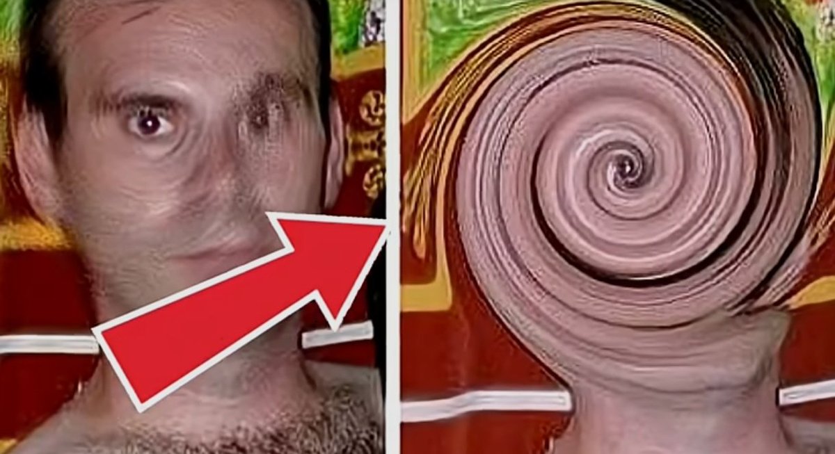 Yaxter ⚜️ tweet media