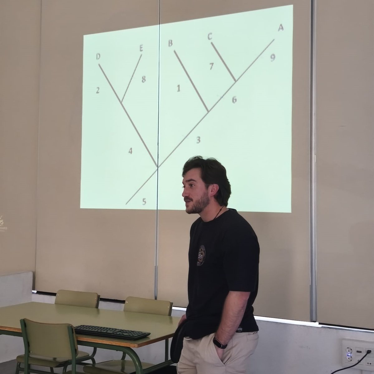 FundaciónDinosaurios tweet media