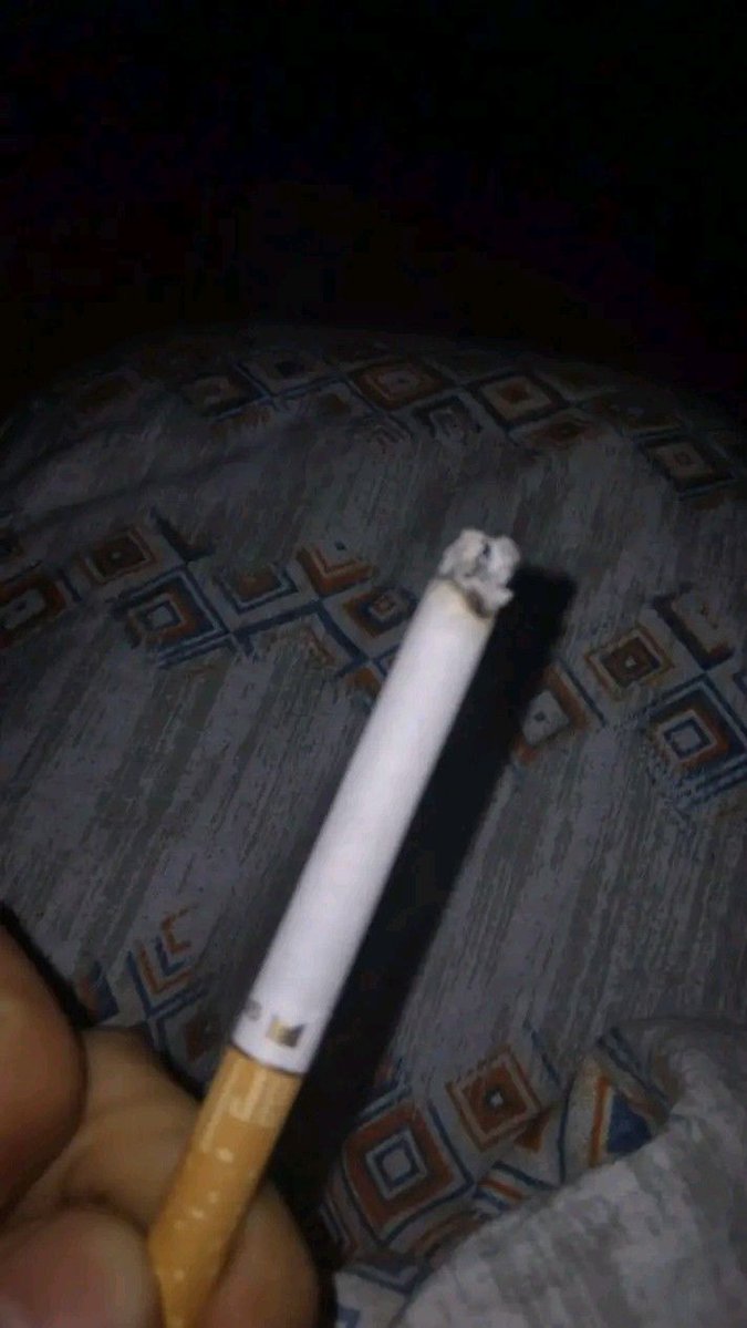 committed to github tweet media