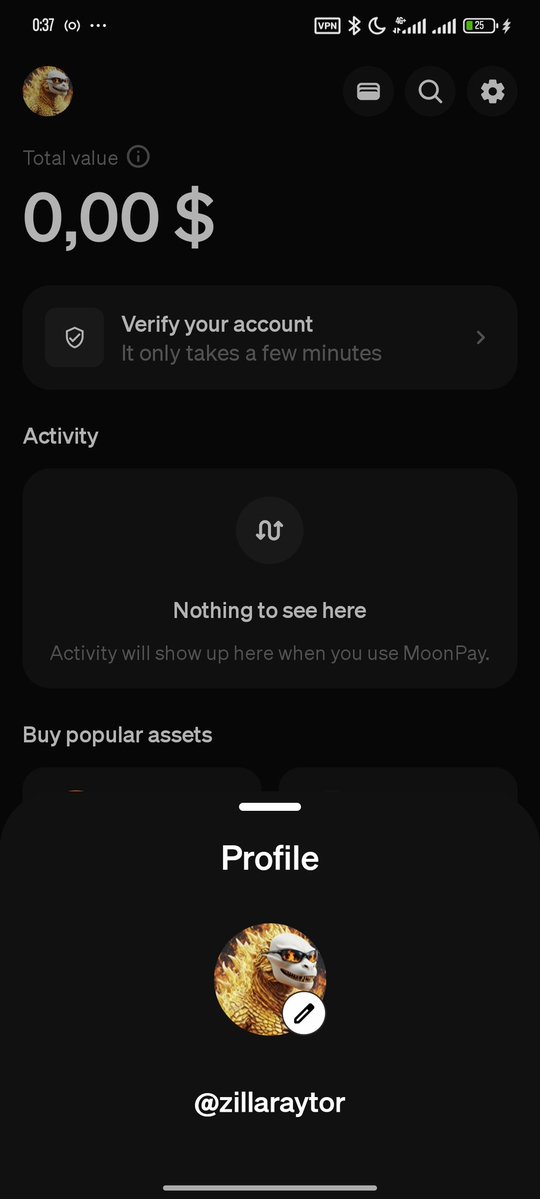 𝐙𝖎𝖑𝖑𝖆👨🏾‍💻 • 𝕾 🪖〽️• tweet media