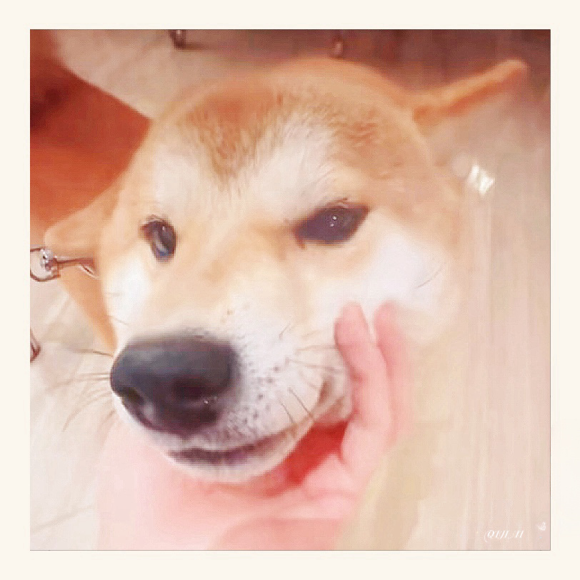 3X Lcug Ledndu tweet media