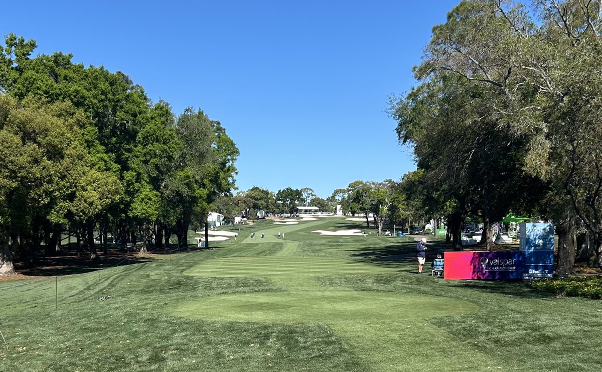 Tom Abbott tweet media