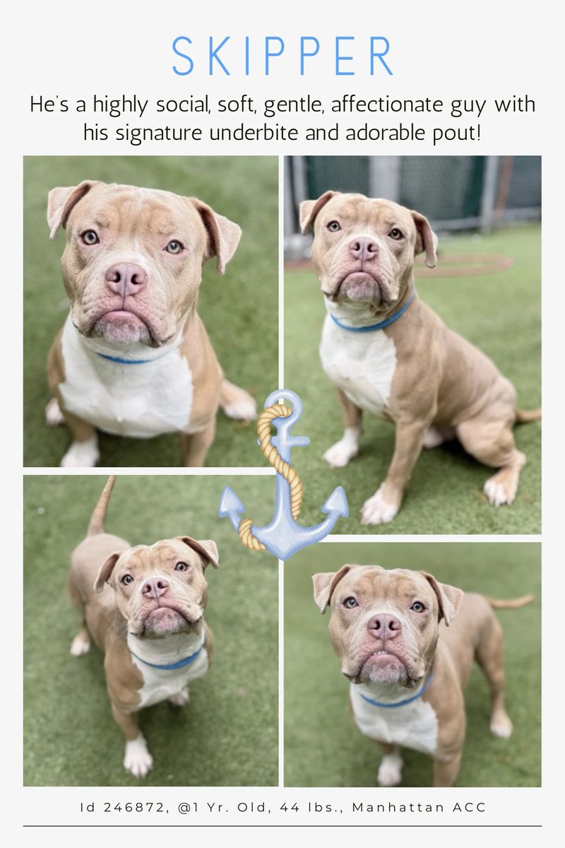 Not the Same tweet media