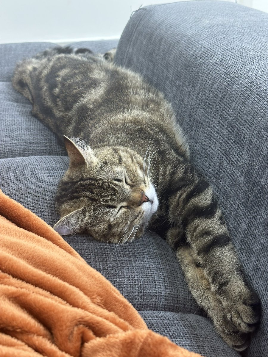 ♡‧₊˚ لــمــلُـومــۃ ₊˚⊹♡ tweet media