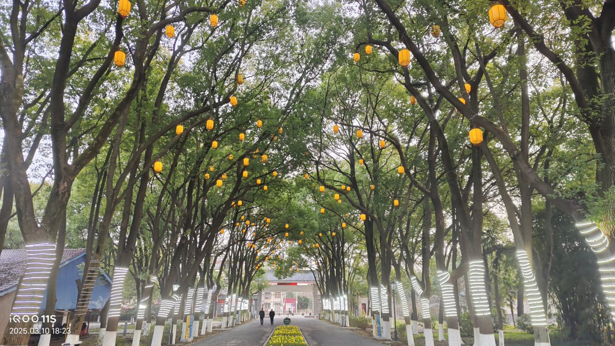 Ardizzone ing. Mario tweet media