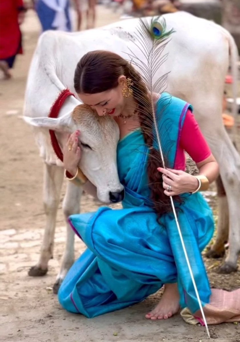 Survi Rawat tweet media