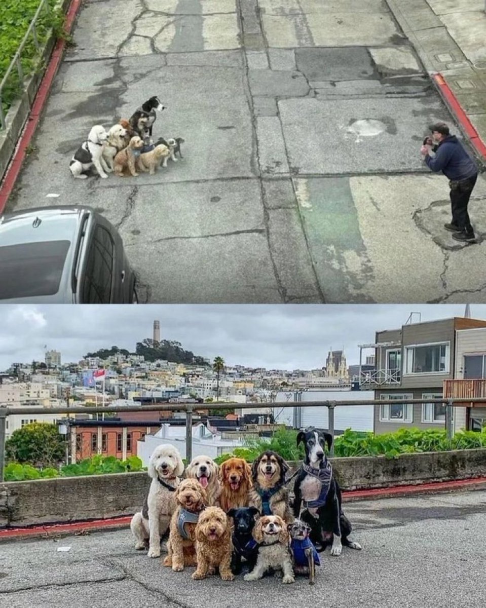 YabaLeftOnline tweet media