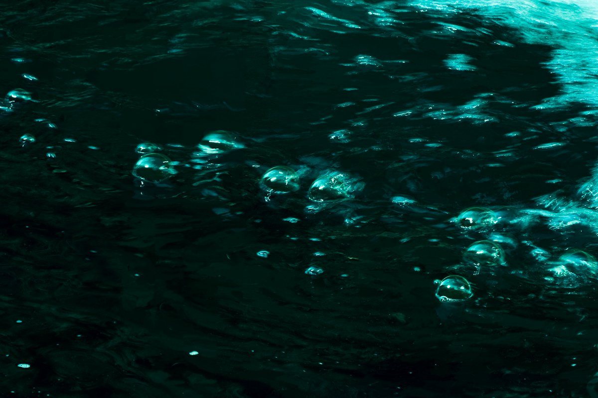 Marigold tweet media