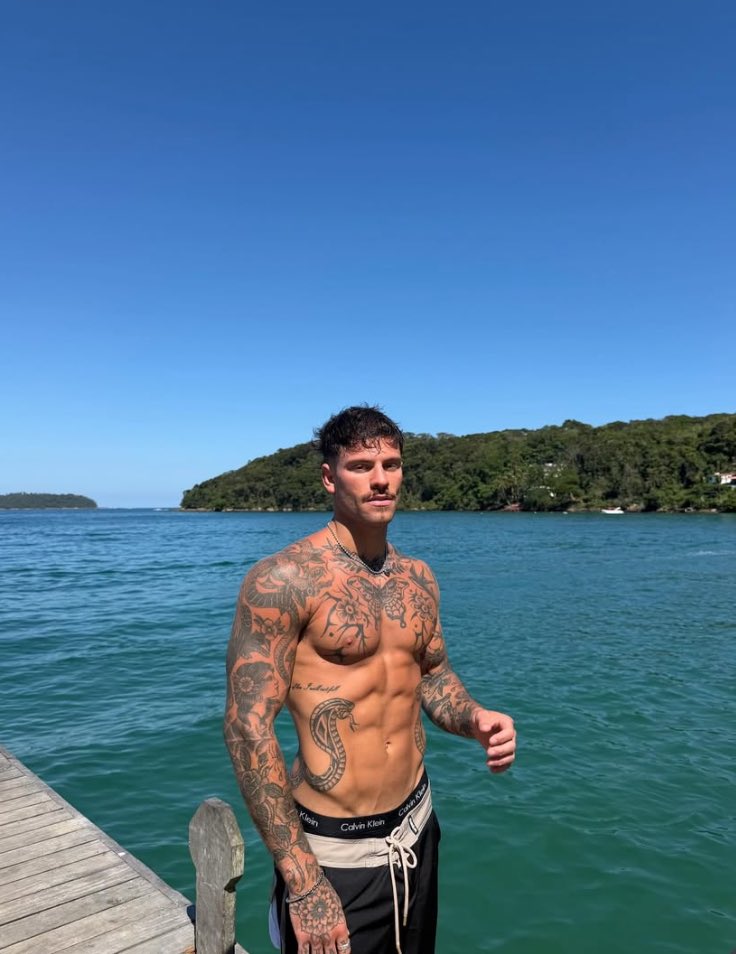 Gabriel Veiga tweet media