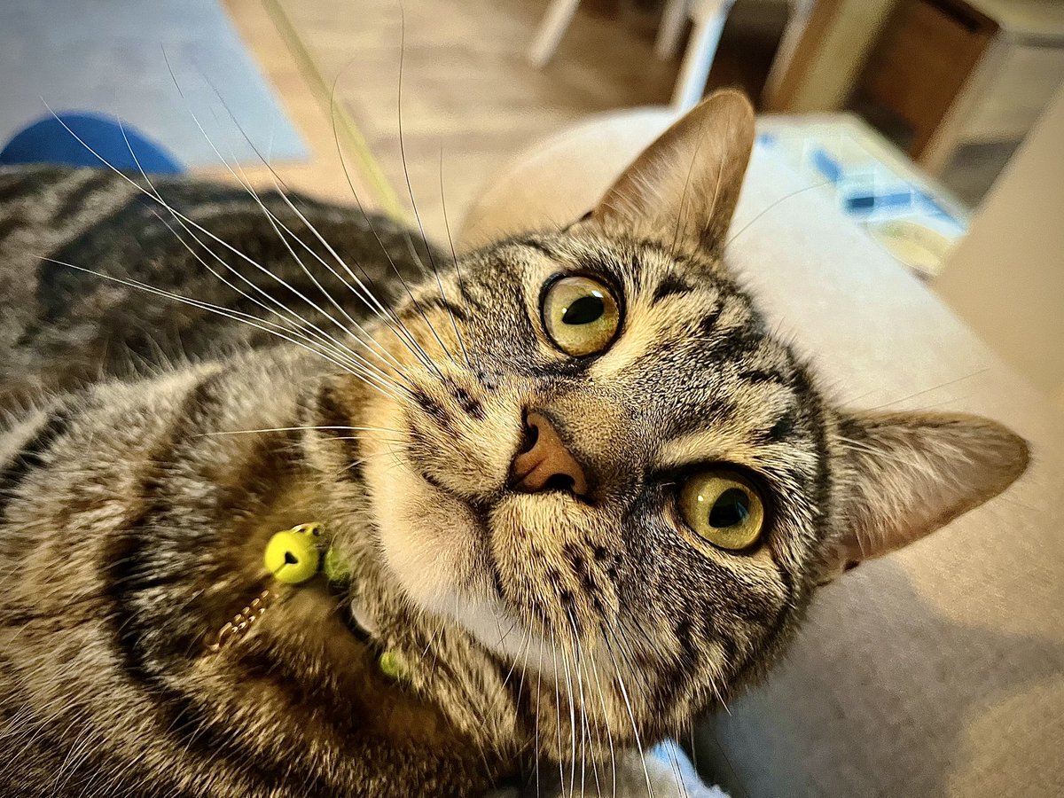 Malcolm & Baby Dog tweet media