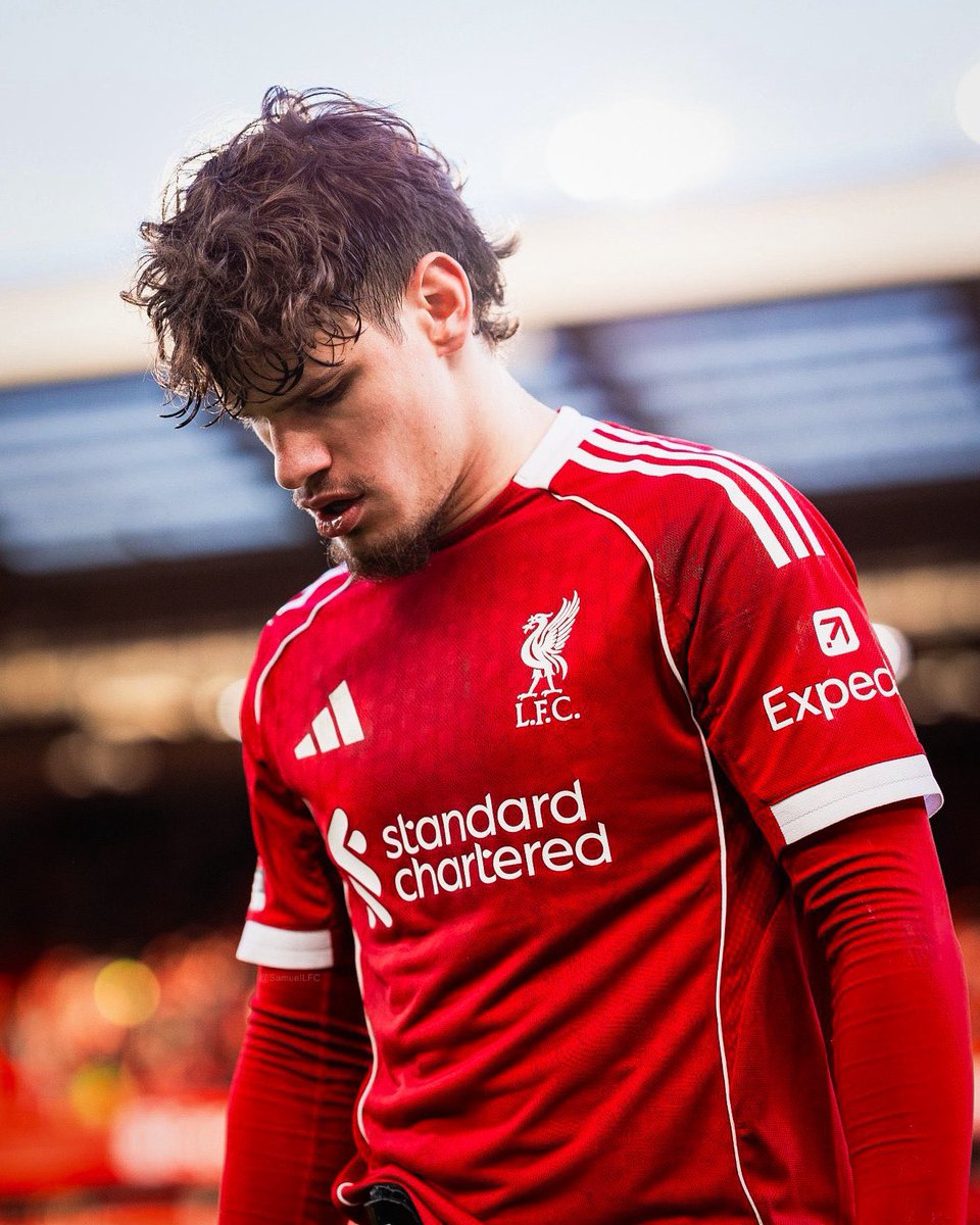 Braden (Fan) 🐦‍🔥 tweet media