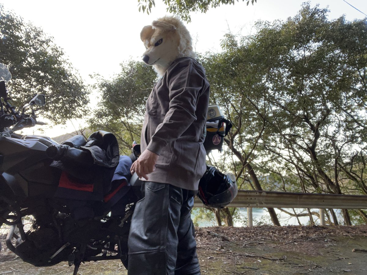 革ケモのおじ狼　Kawasaki　VersysX-250 tweet media