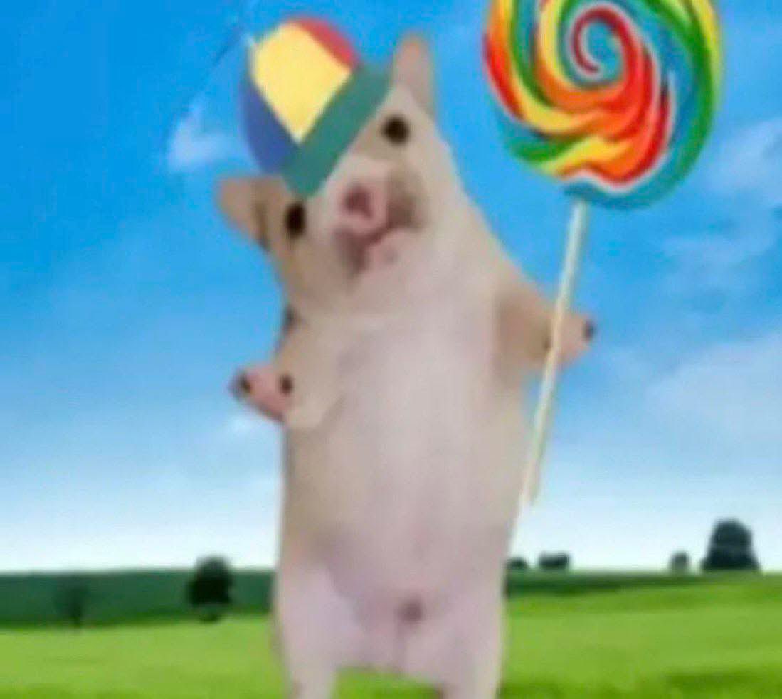 memes feos yo qué sé tweet media