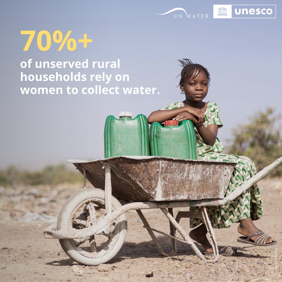 United Nations tweet media