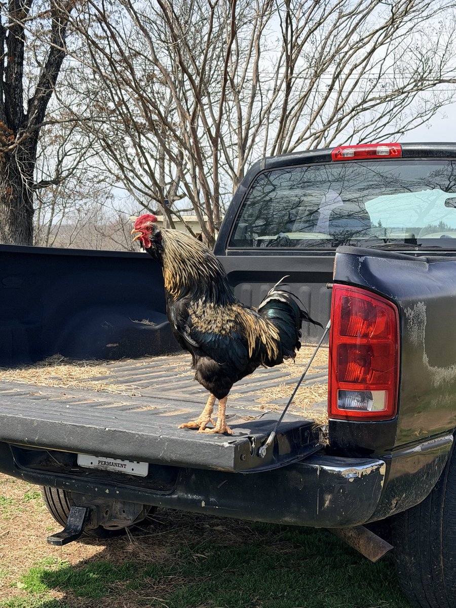 Corey Blades tweet media