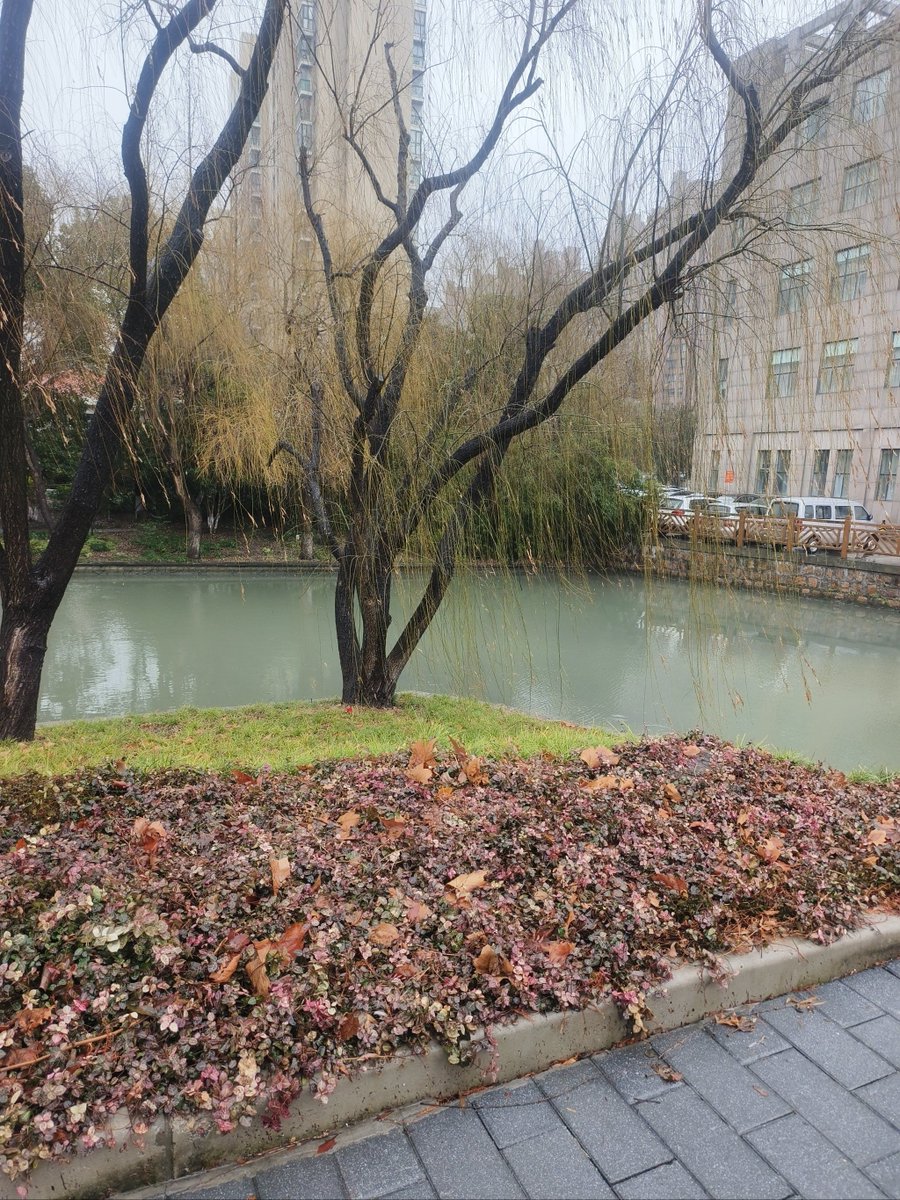 Casinovale Güncel Giriş tweet media