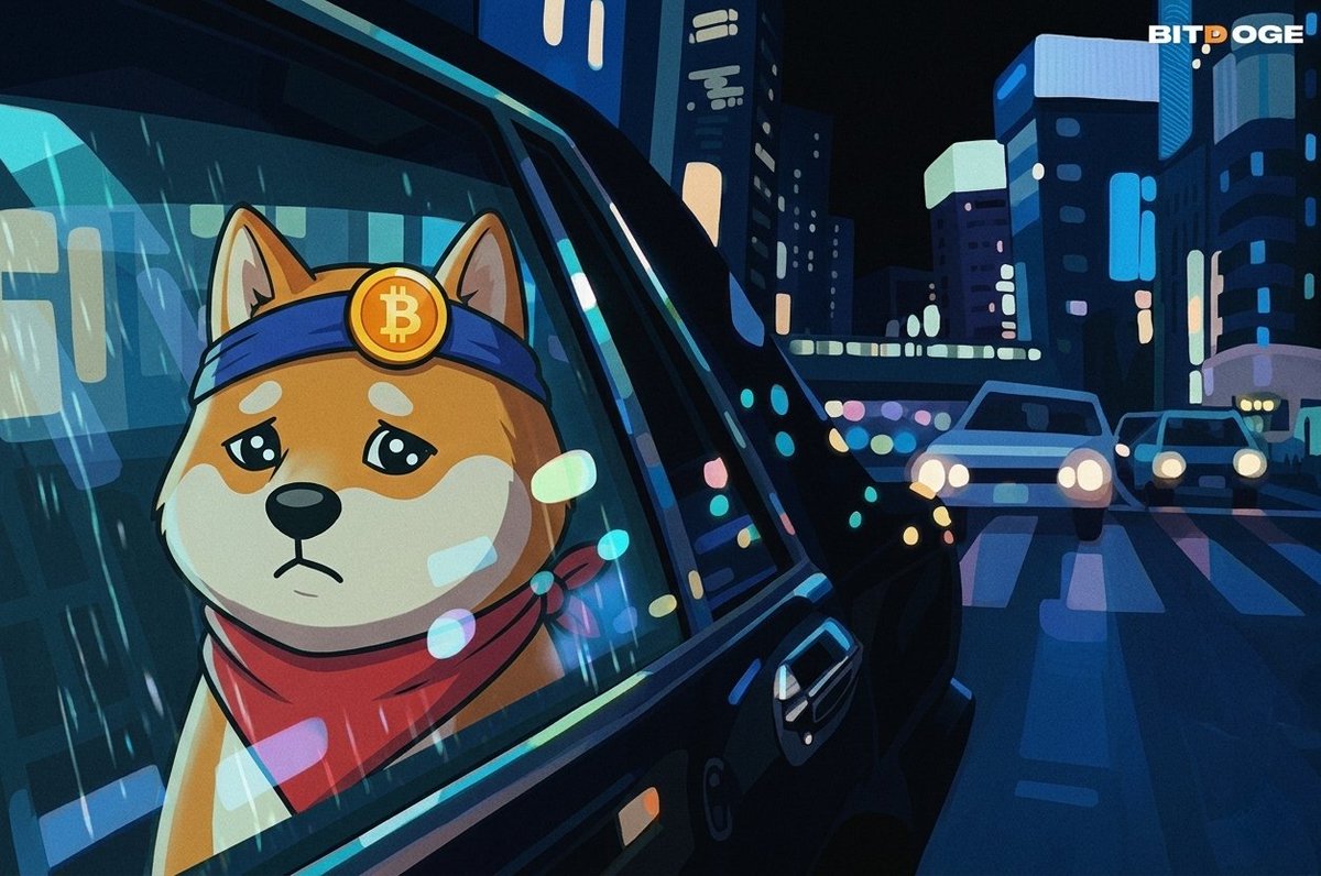 BitDoge tweet media