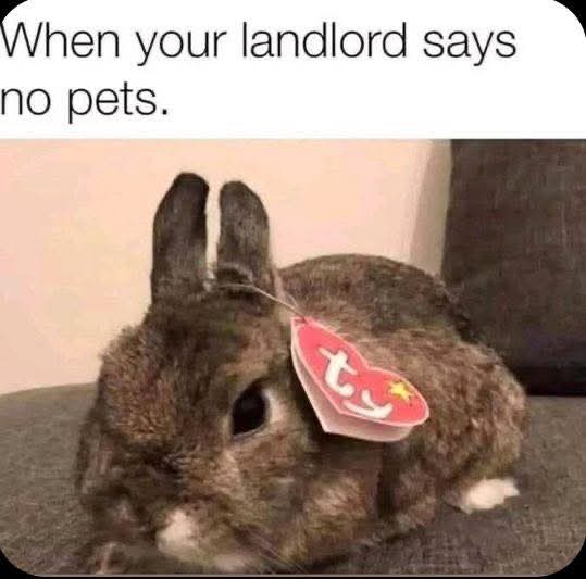 Nick Espinosa tweet media