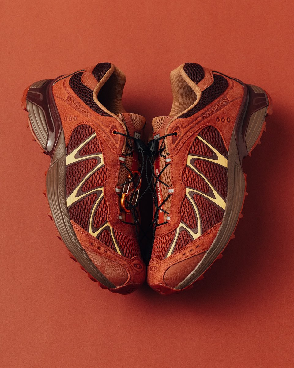 Modern Notoriety tweet media