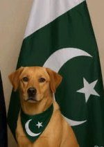 Unfiltered Truths tweet media