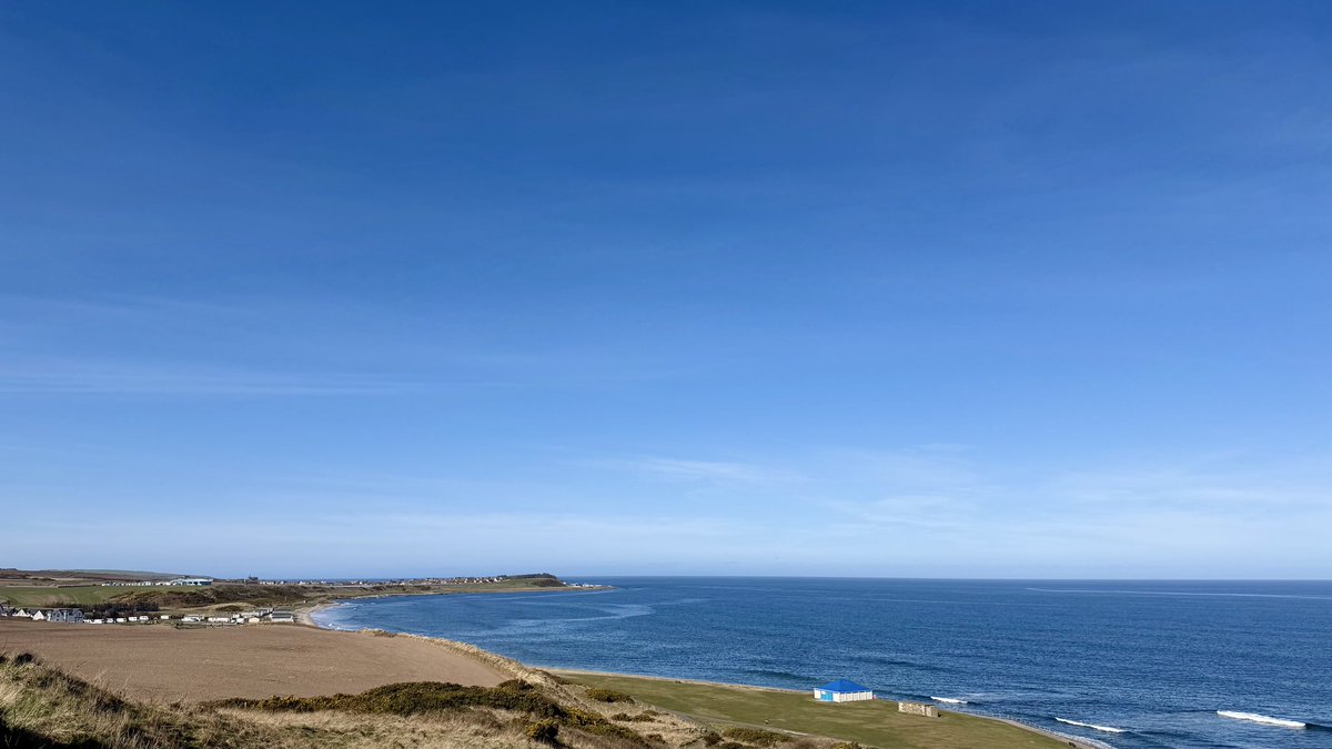 Debby Thorne tweet media