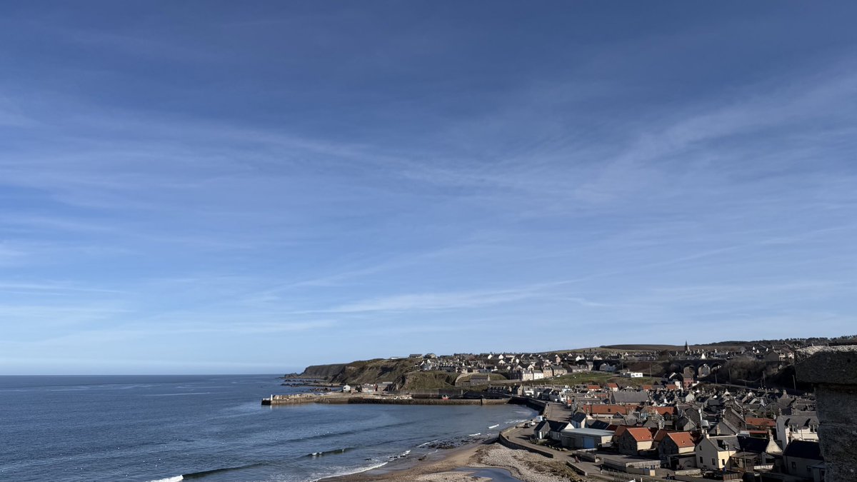 Debby Thorne tweet media