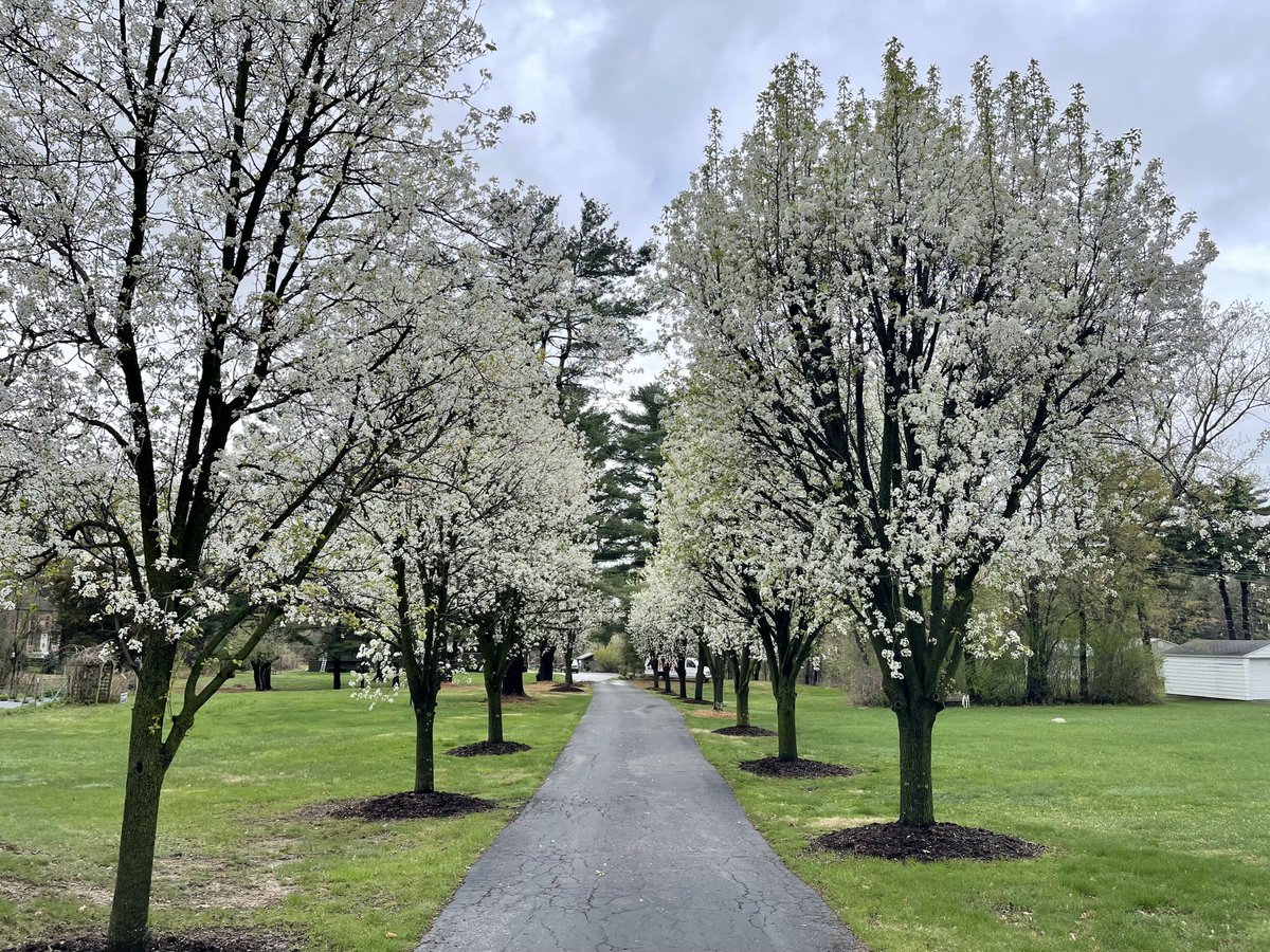 meshawn maddock tweet media