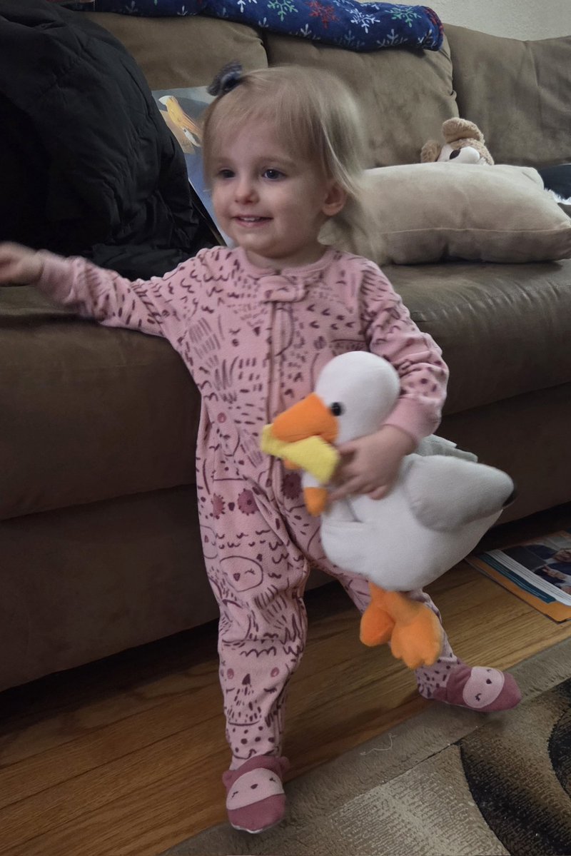 Scott Iceman Reck tweet media