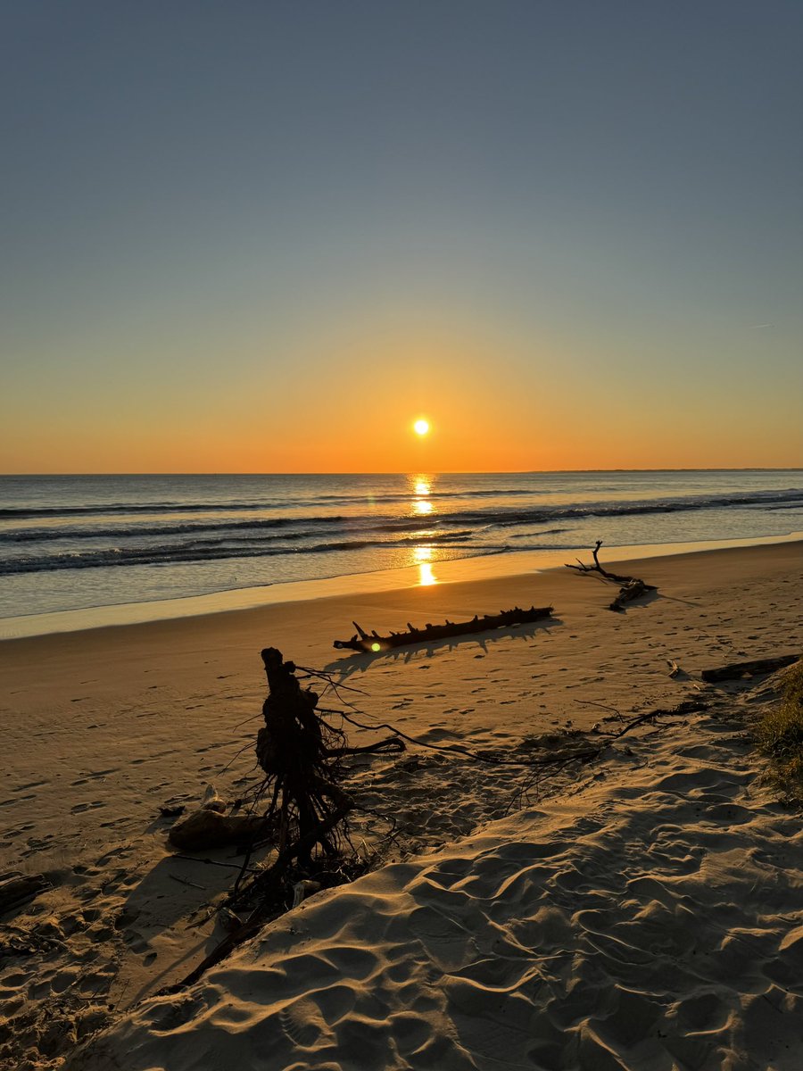 Moustache tweet media